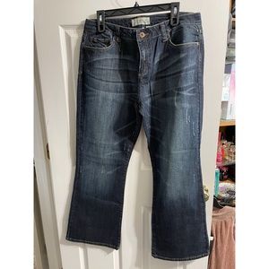 Maurice’s Women’s Size 13/14 Short Taylor Bootcut Jeans